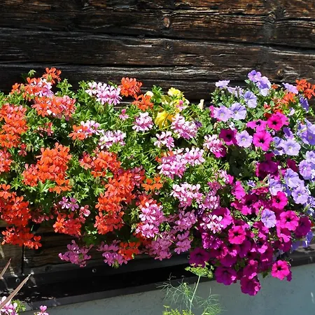 Selbstversorgerhaus Herisch Vakantiehuis Schladming