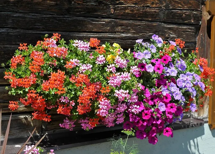 Selbstversorgerhaus Herisch Semesterbostad Schladming